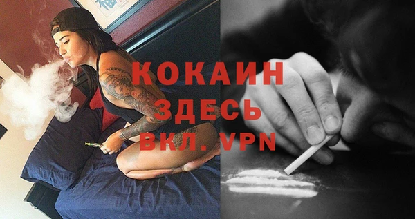 mdpv Алзамай