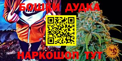 Альфа ПВП Партизанск