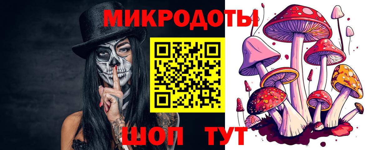 Сухой Лог  Псилоцибиновые грибы Psilocybine cubensis  Вход с VPN  Галлюциногенные грибы GOLDEN TEACHER 